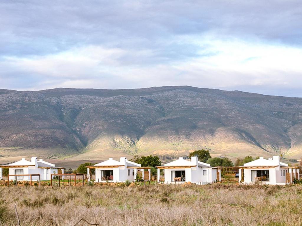 Duikersdrift Winelands Country Escape Hotel Tulbagh Exterior foto